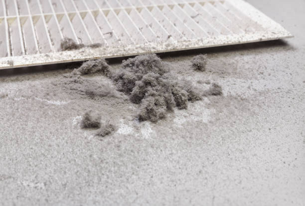 Best Ductwork Cleaning Services  in University City, MO