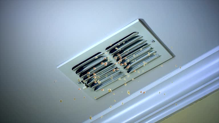 Best Affordable HVAC Duct Cleaning  in University City, MO