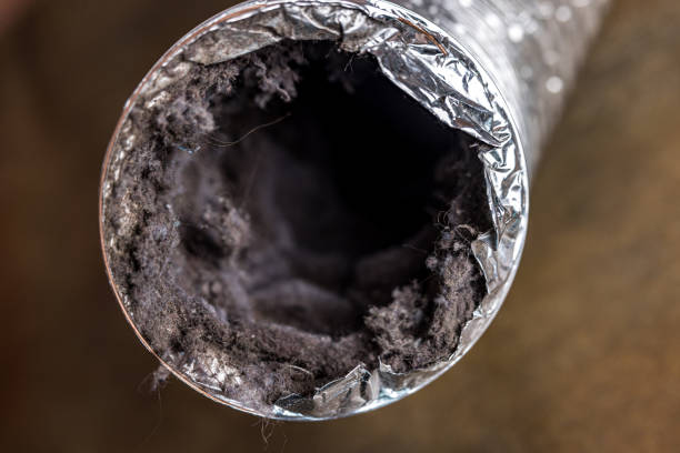 Best Air Duct Cleaning Near Me  in University City, MO