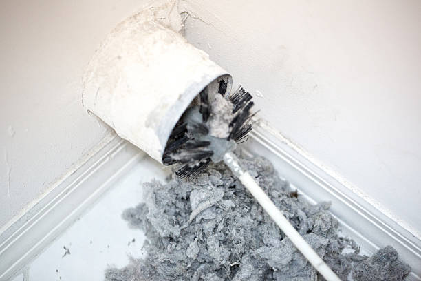 Best Air Duct Cleaning Near Me  in University City, MO